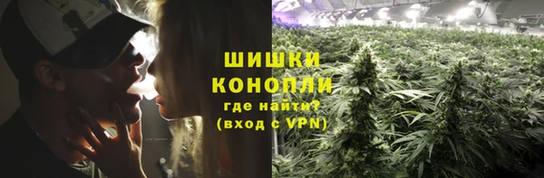 ГАЛЛЮЦИНОГЕННЫЕ ГРИБЫ Каменногорск