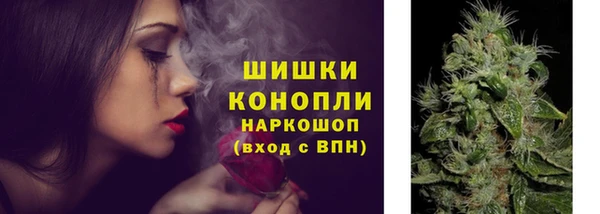 твердый Каменск-Шахтинский