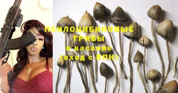 твердый Каменск-Шахтинский