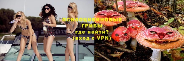 сатива Инта