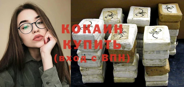 сатива Инта