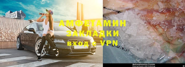 сатива Инта