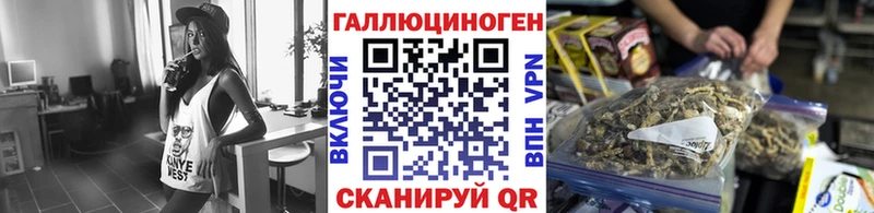 Псилоцибиновые грибы Psilocybe  Купить  Задонск 